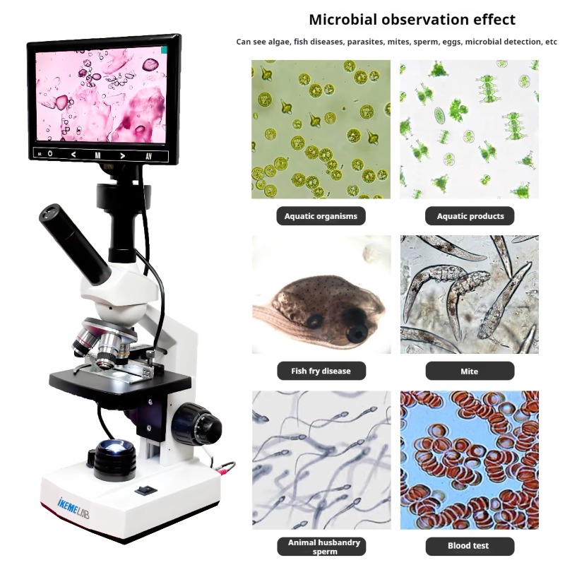 HD Screen Digital Microscope B – Medical Lab Microscope Bewertung und Preis