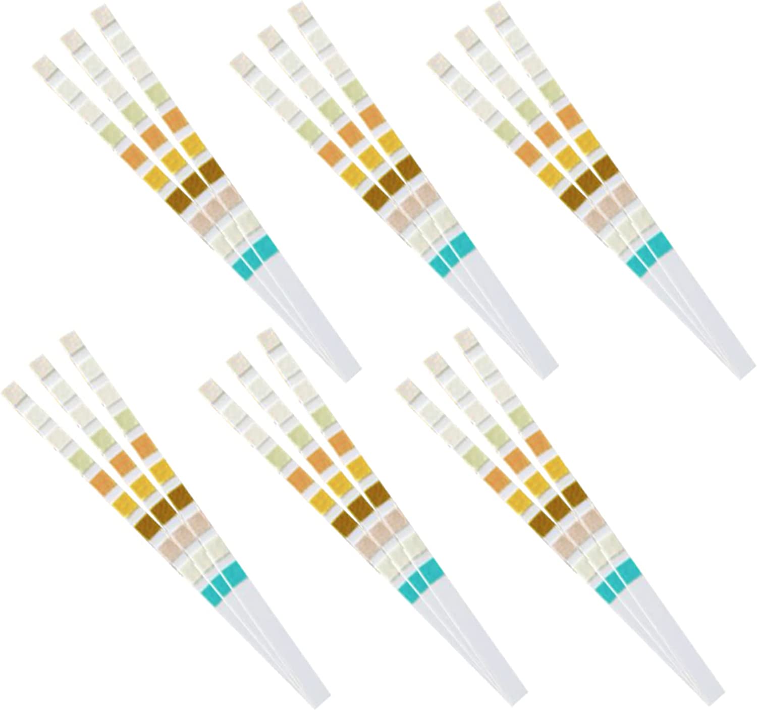 URS-10T Urine Test Strips 10 P – Urinalysis Reagent Strip Bewertung und Preis