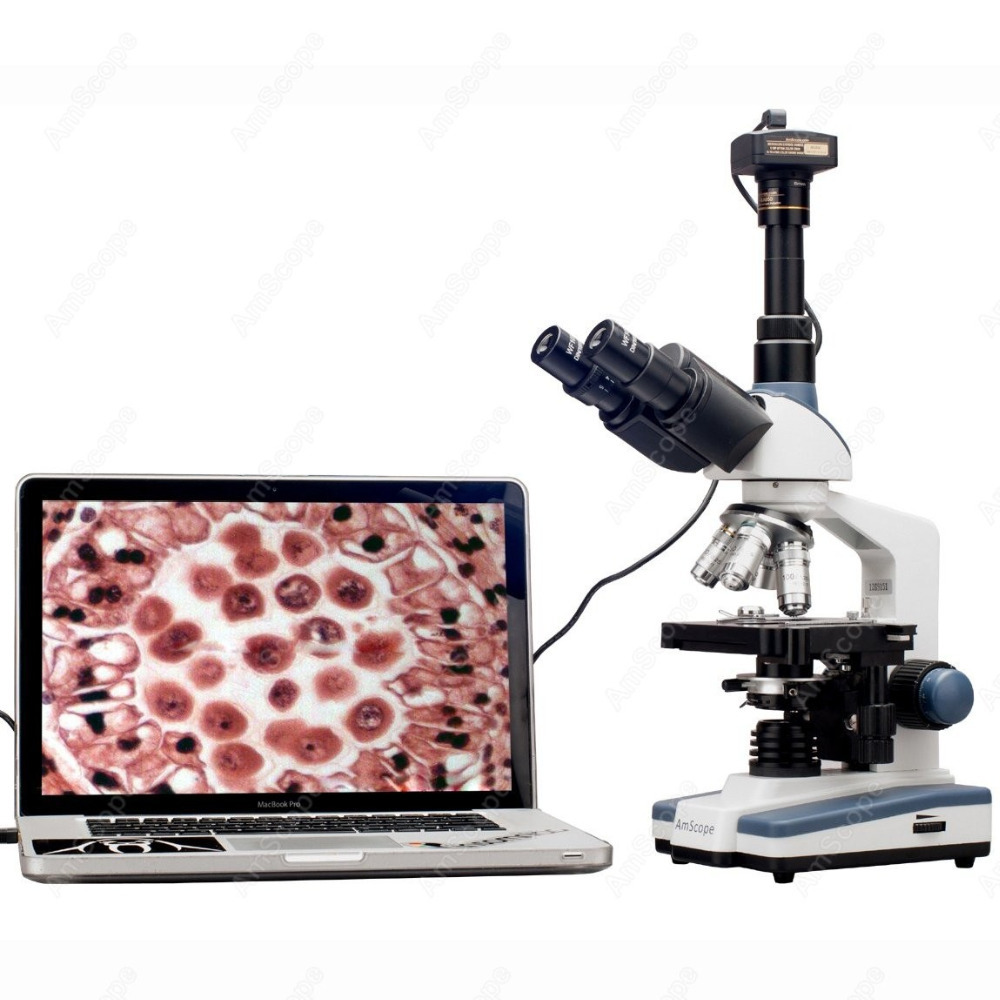 Lab Compound Microscope--AmSco – Medical Lab Microscope Bewertung und Preis