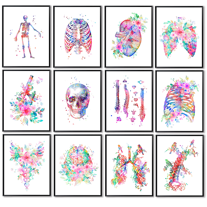 Unframe Anatomy Medical Poster – Medical Labs Bewertung und Preis