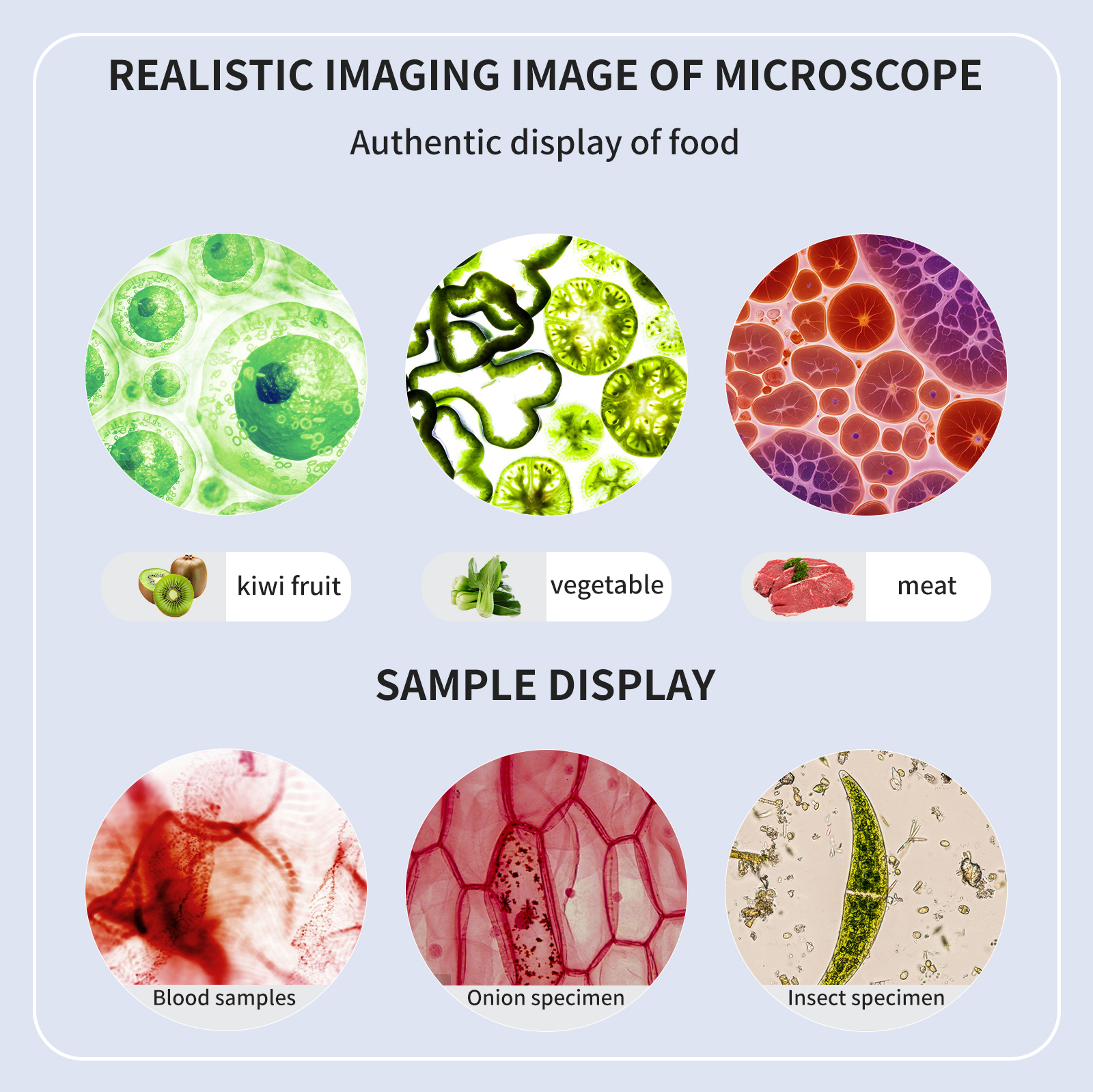 High definition, high magnific – Medical Lab Microscope Bewertung und Preis
