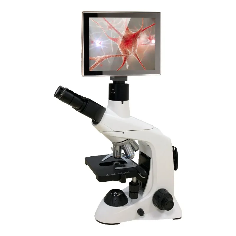 2026 New Stainless Steel Medic – Medical Lab Microscope Bewertung und Preis