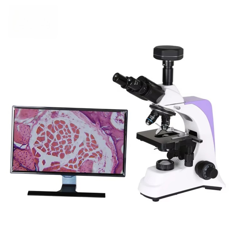 2026 Medical Lab Digital Biolo – Medical Laboratory Scientist Bewertung und Preis