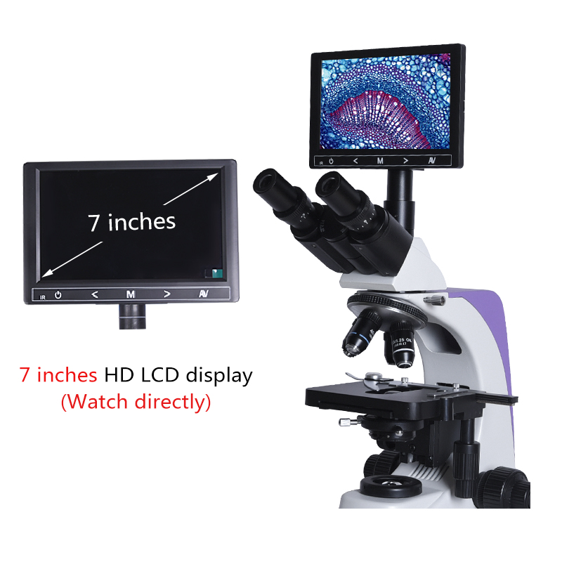 1000x 2500X Professional Biolo – Medical Lab Microscope Bewertung und Preis